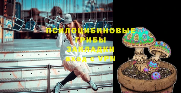 гидра Абдулино