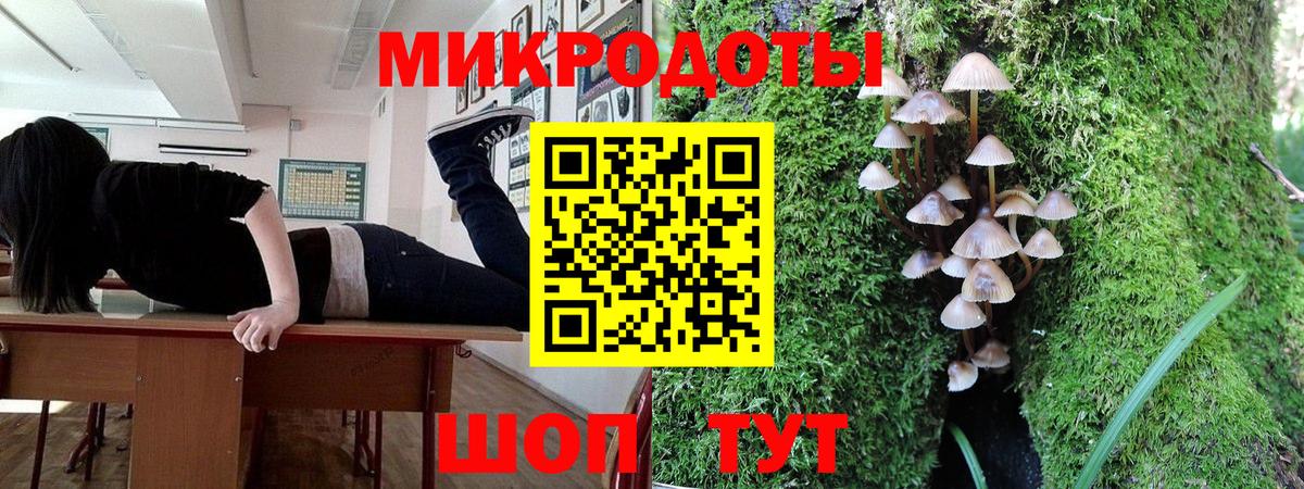 Галлюциногенные грибы Cubensis Курск
